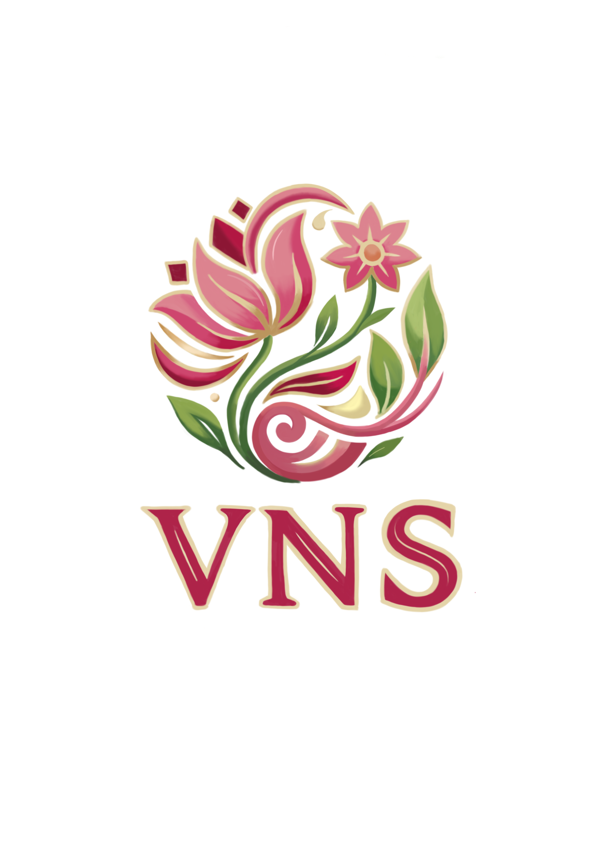 VNS Studio
